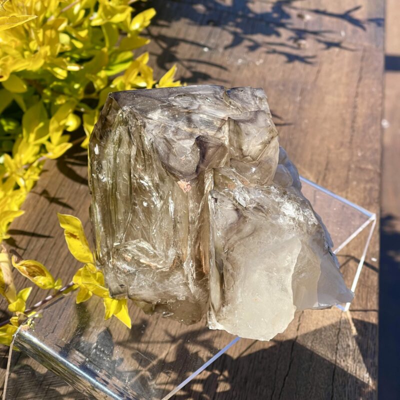 This is Elestial Skeleton Smokey Quartz 1.6kg Masterpiece