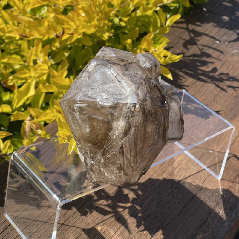 This is Elestial Skeleton Smokey Quartz 1.6kg Masterpiece