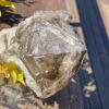 This is Elestial Skeleton Smokey Quartz 1.6kg Masterpiece