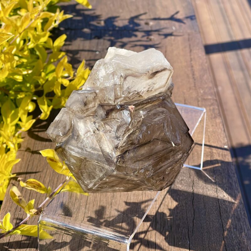 This is Elestial Skeleton Smokey Quartz 1.6kg Masterpiece