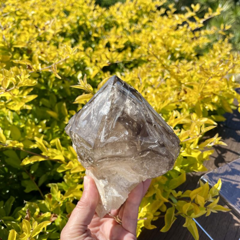 This is Elestial Skeleton Smokey Quartz 1.6kg Masterpiece