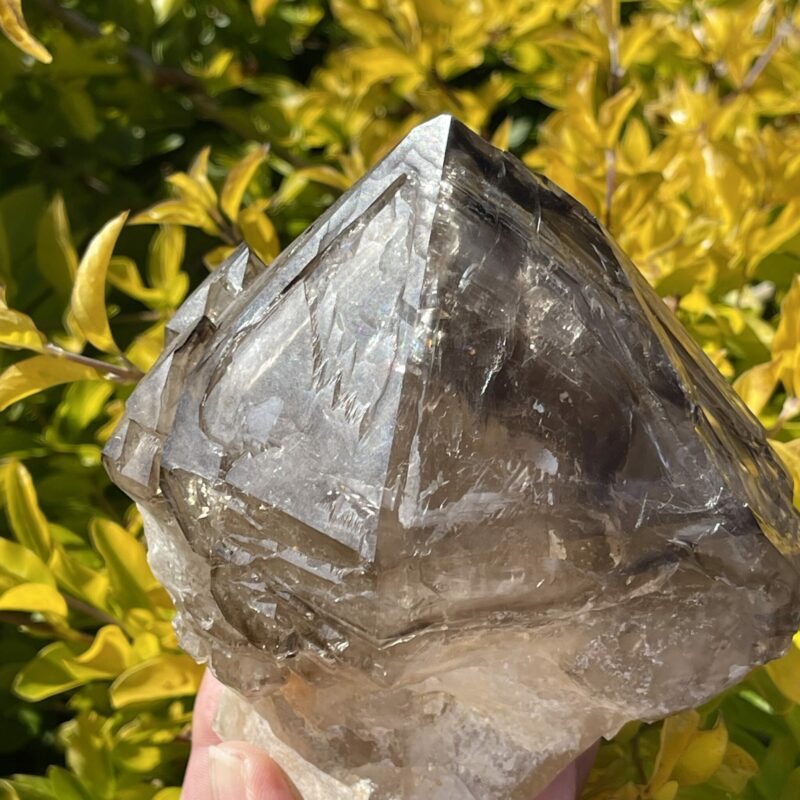 This is Elestial Skeleton Smokey Quartz 1.6kg Masterpiece