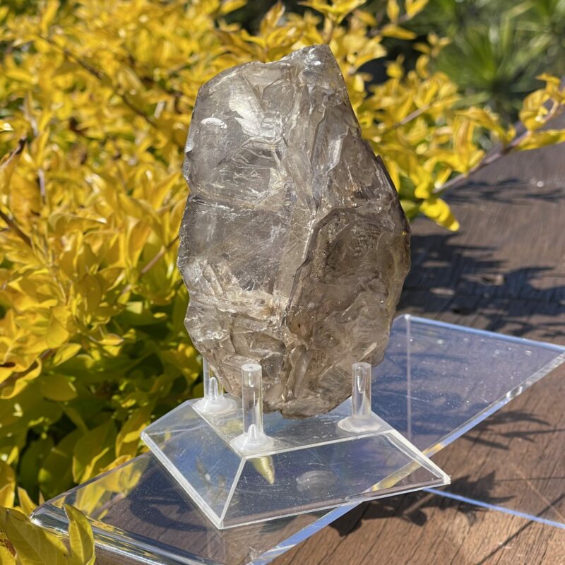 This is Dreamy Elestial Skeleton Smokey Quartz - 495g