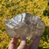 This is Dreamy Elestial Skeleton Smokey Quartz - 495g