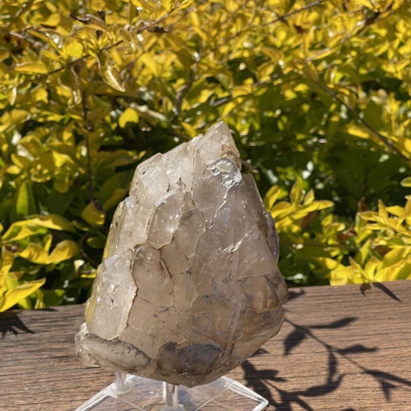 This is Amplifying Elestial Skeleton Smokey Quartz - 1.49kg