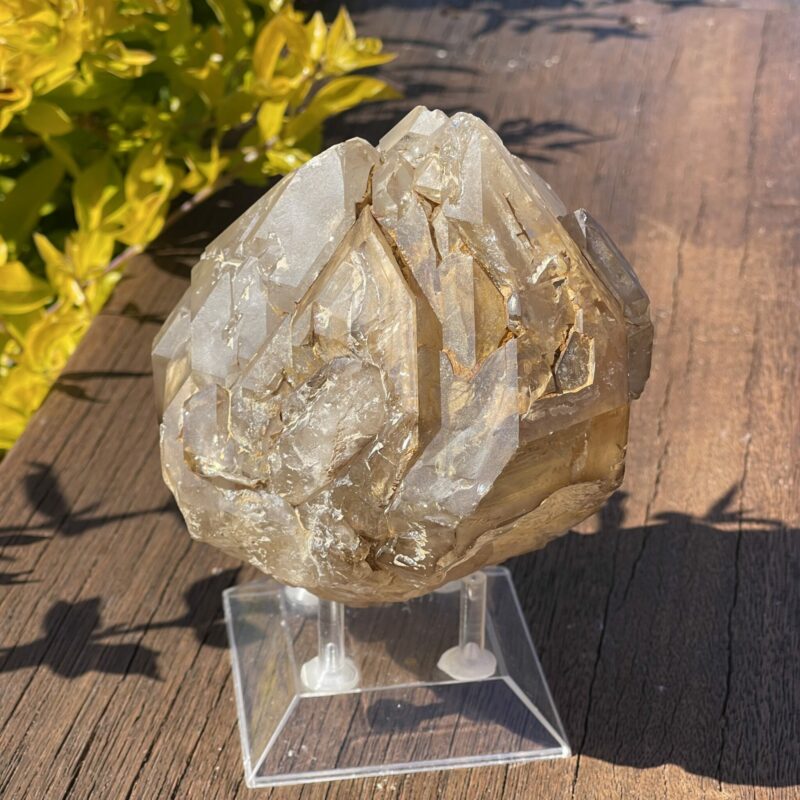 This is Amplifying Elestial Skeleton Smokey Quartz - 1.49kg