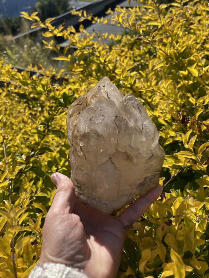 This is Amplifying Elestial Skeleton Smokey Quartz - 1.49kg