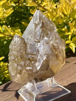 This is Mystical Elestial Skeleton Smokey Quartz - 988g