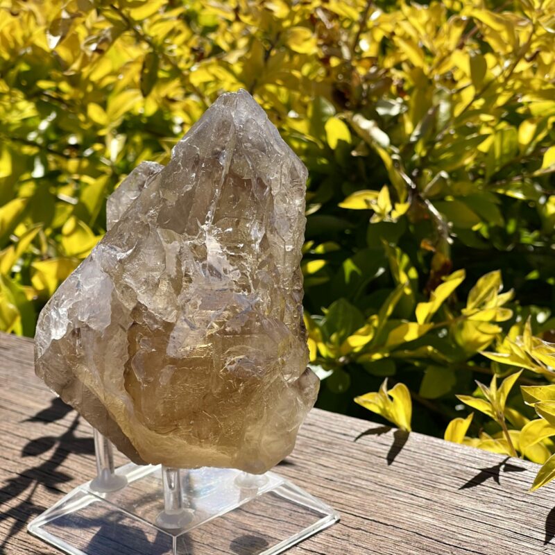 This is Mystical Elestial Skeleton Smokey Quartz - 988g