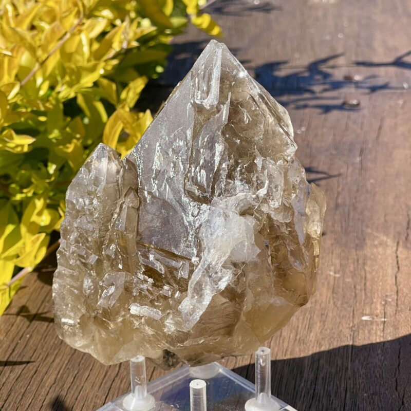 This is Mystical Elestial Skeleton Smokey Quartz - 988g