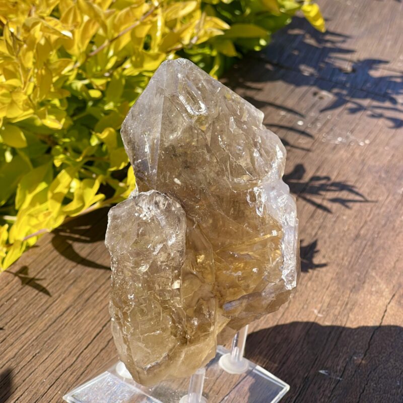 This is Mystical Elestial Skeleton Smokey Quartz - 988g