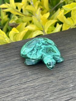 Our Malachite Turtle Carving 89gr