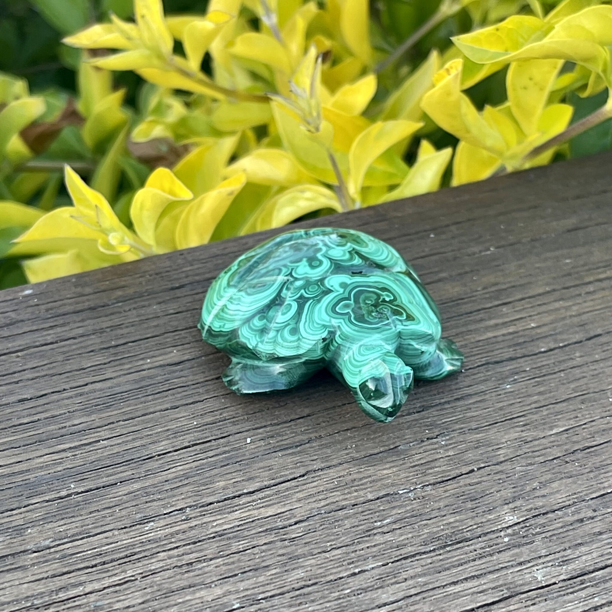 Our Malachite Turtle Carving 89gr