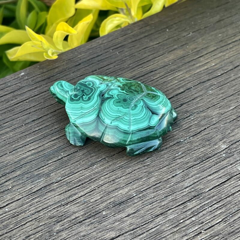 This is Our Malachite Turtle Carving 89gr