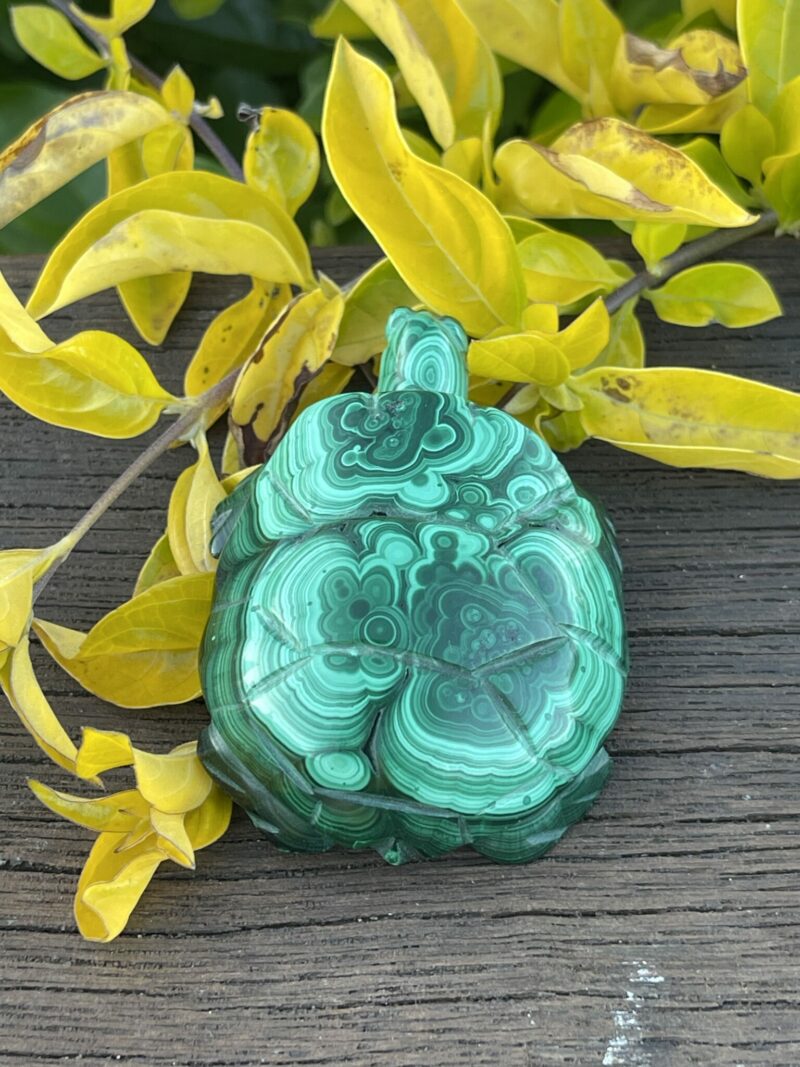 This is Our Malachite Turtle Carving 89gr