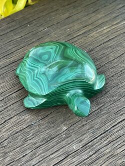 This is Our Medium Malachite Turtle Carving 114gr