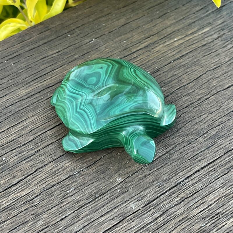 This is Our Medium Malachite Turtle Carving 114gr