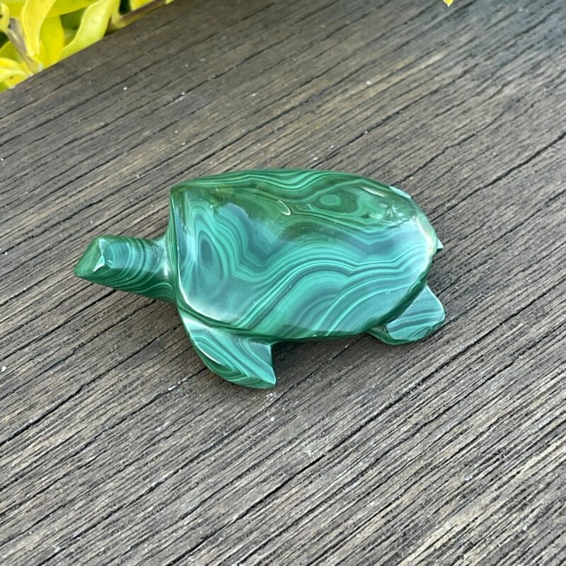 This is Our Medium Malachite Turtle Carving 114gr