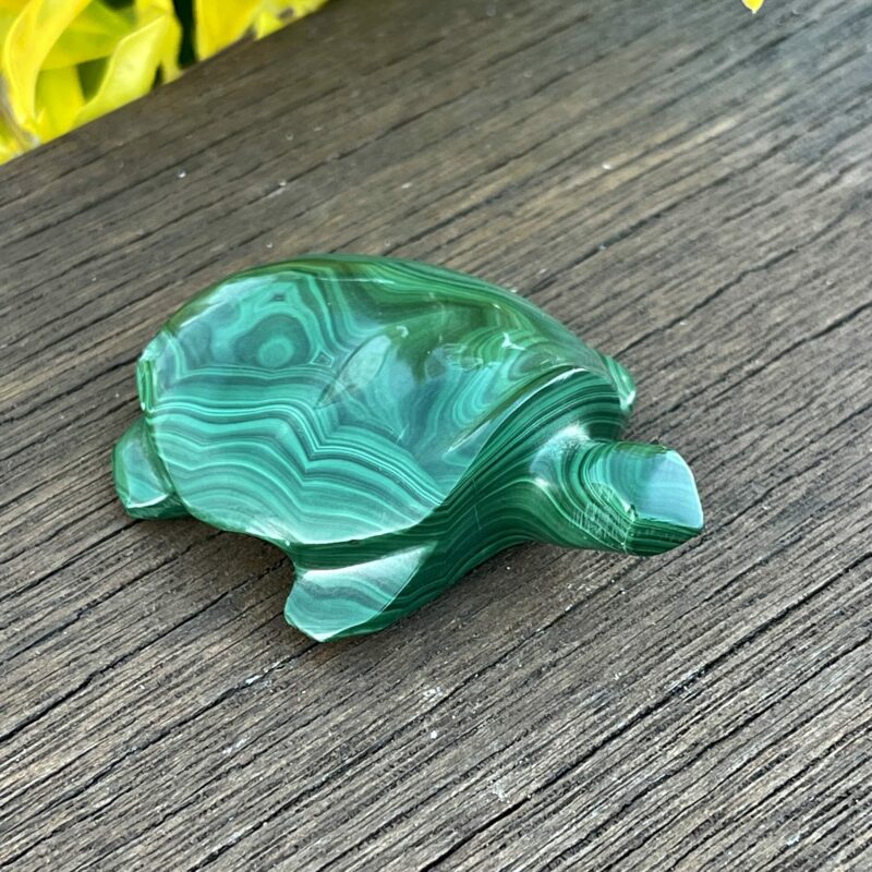 This is Our Medium Malachite Turtle Carving 114gr