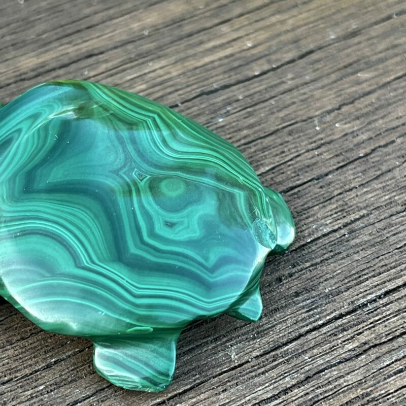 This is Our Medium Malachite Turtle Carving 114gr