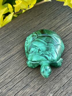 Cute Malachite Turtle Carving 100gr