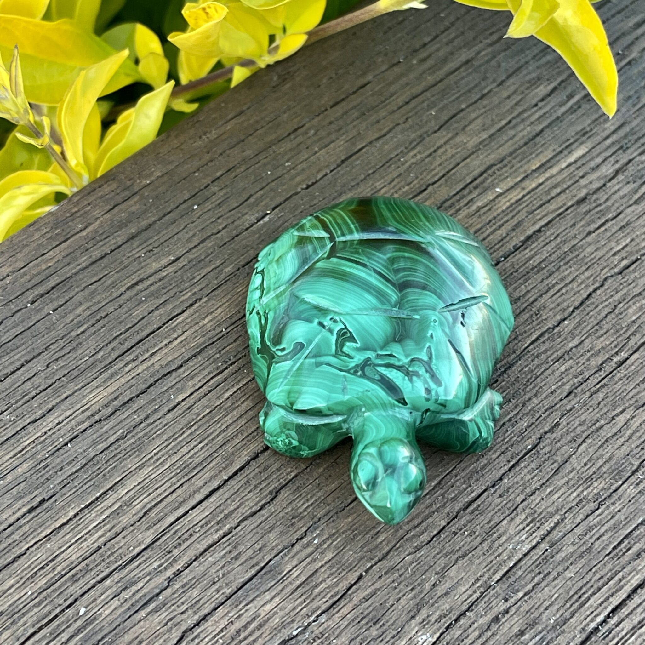 Cute Malachite Turtle Carving 100gr