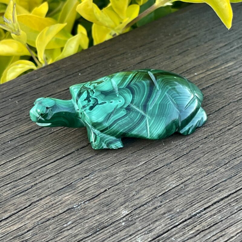 This is Our cute Malachite Turtle Carving 100gr