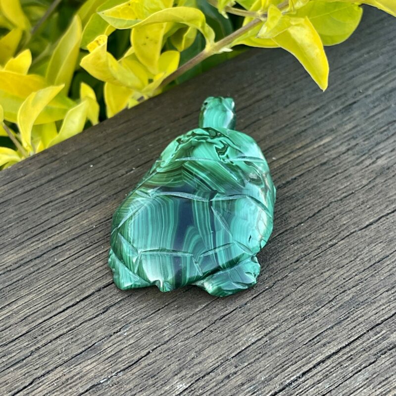 This is Our cute Malachite Turtle Carving 100gr