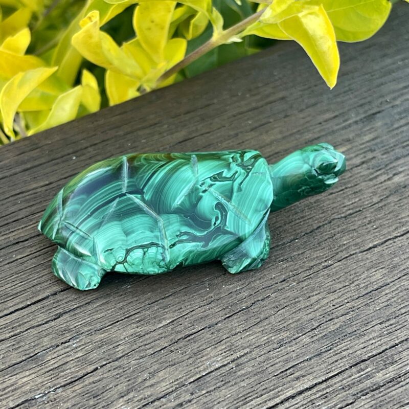 This is Our cute Malachite Turtle Carving 100gr