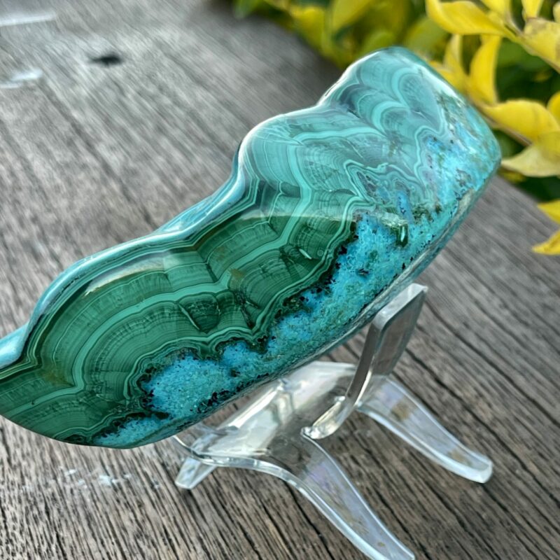 This is Chrysocolla Beauty Polished Freeform 573gr