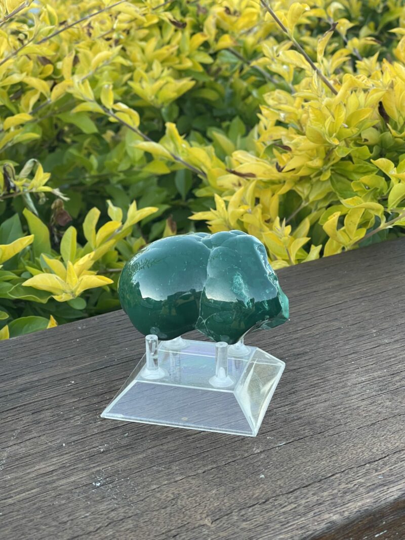 This is Radiant Malachite Freeform Specimen - 378g