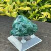 This is Transformative Malachite Freeform Specimen - 369g