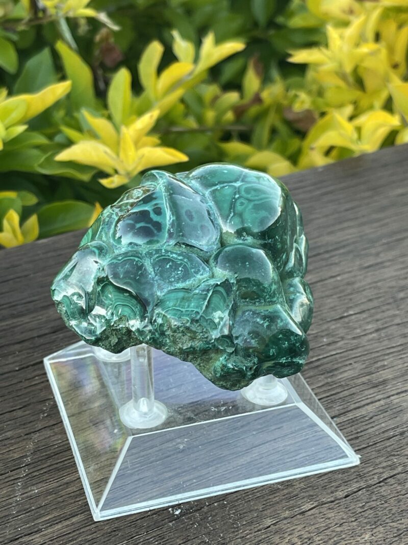 This is Vibrant Malachite Freeform Specimen - 331g