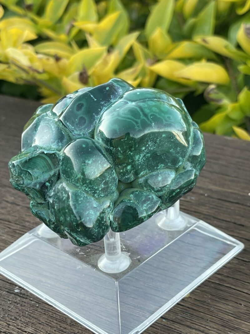 This is Vibrant Malachite Freeform Specimen - 331g