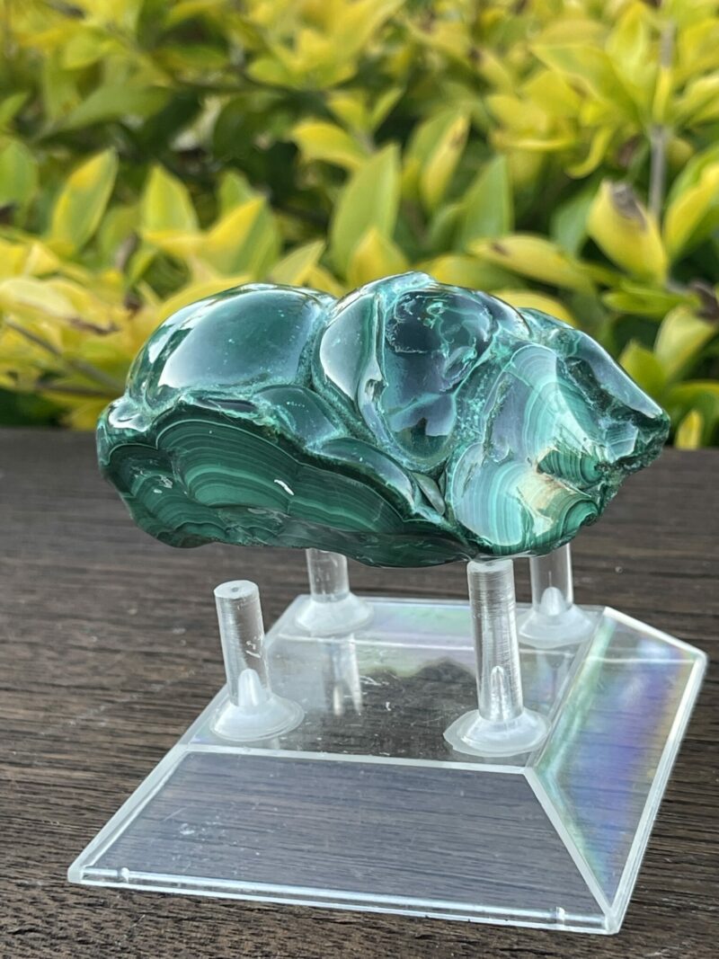 This is Vibrant Malachite Freeform Specimen - 331g