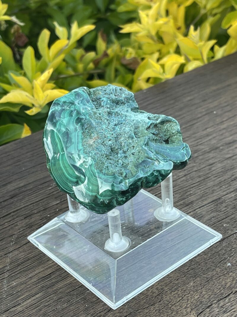 This is Vibrant Malachite Freeform Specimen - 331g