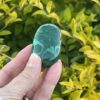 This is Malachite Palm Stone 115gr