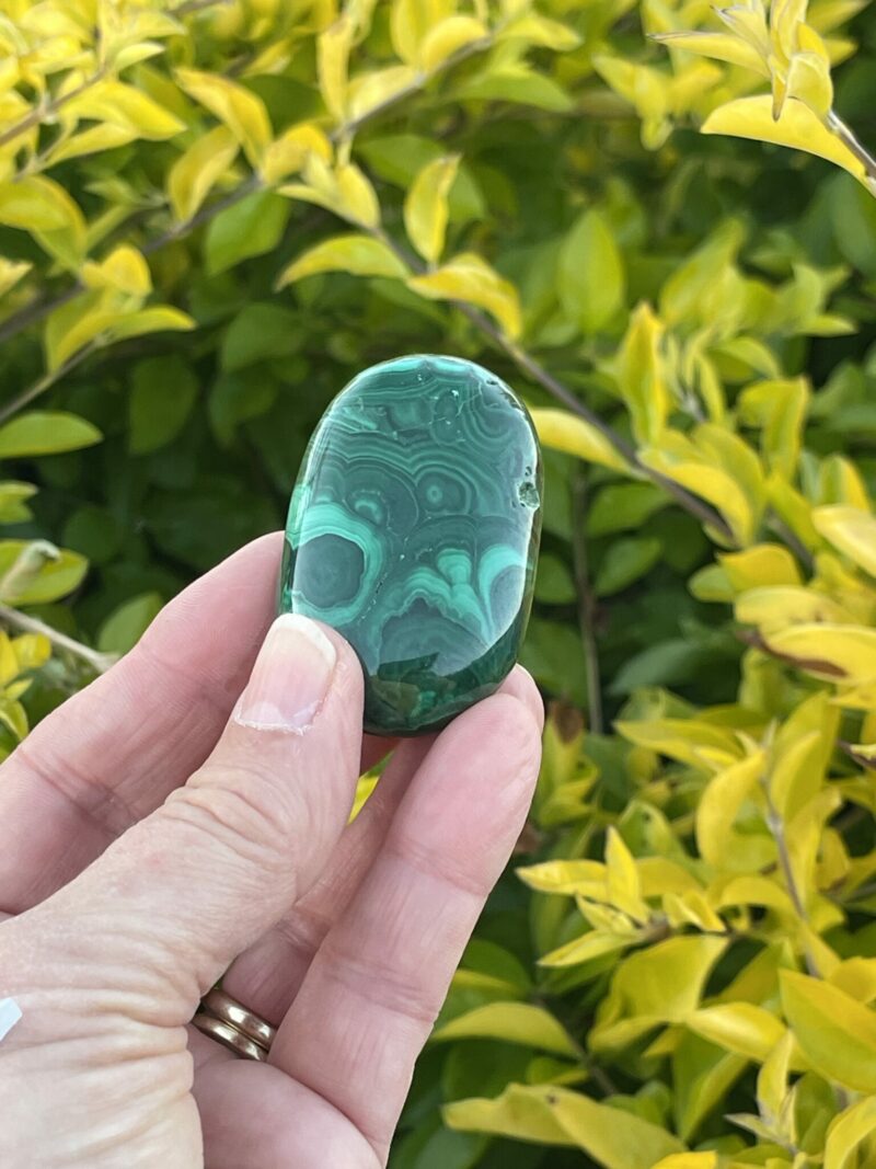 This is Malachite Palm Stone 115gr