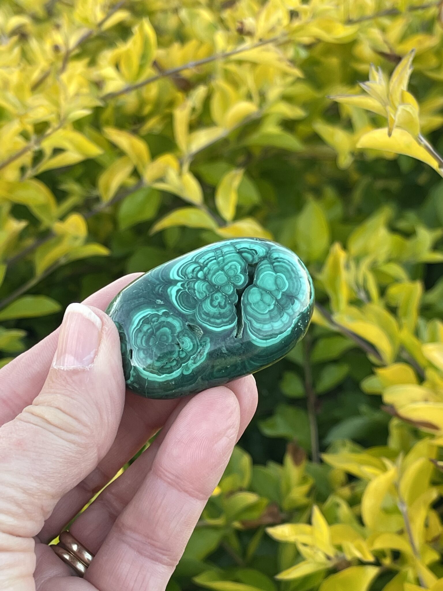 This is Radiant Malachite Palm Stone - 74gr