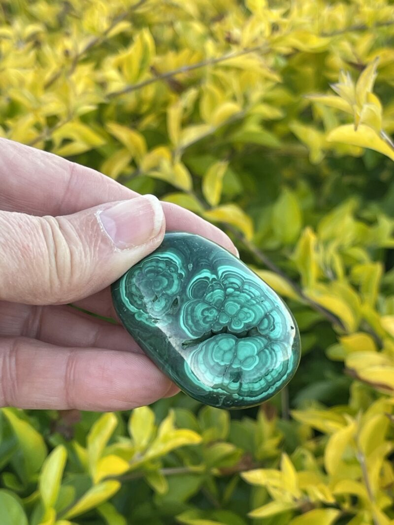 This is Radiant Malachite Palm Stone - 74gr