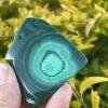 This is Healing Malachite Slice 2 - 62g