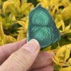 This is Malachite Well-Being Slice - 38g