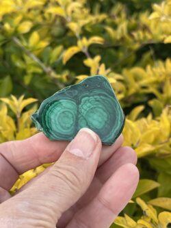 This is Malachite Well-Being Slice - 38g