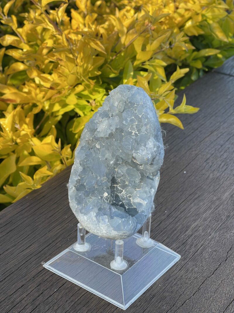 this is Serene Celestite Cluster - 656g