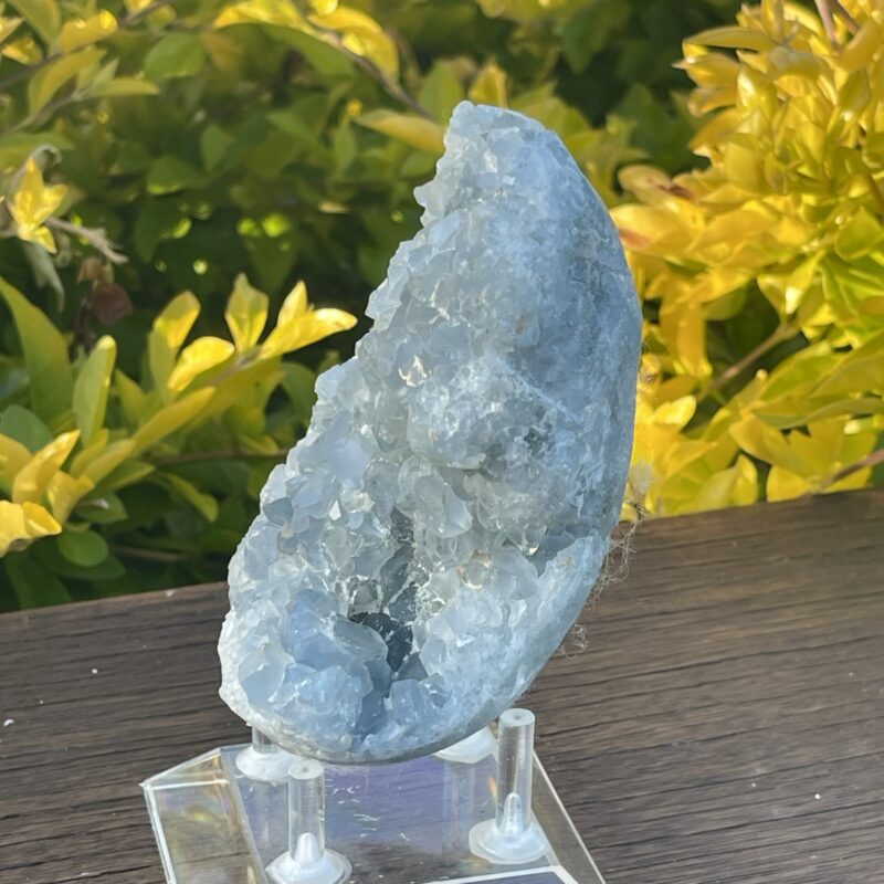 this is Serene Celestite Cluster - 656g