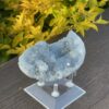 this is Serene Celestite Cluster - 656g