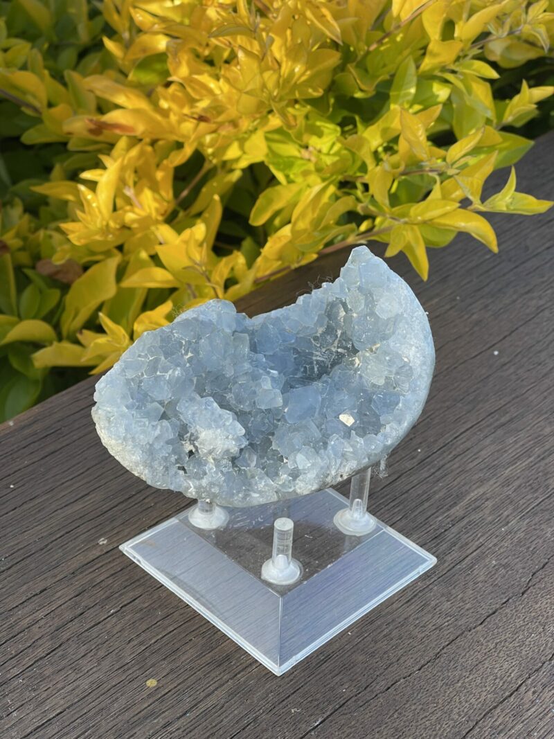 this is Serene Celestite Cluster - 656g