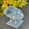 this is Serene Celestite Cluster - 656g