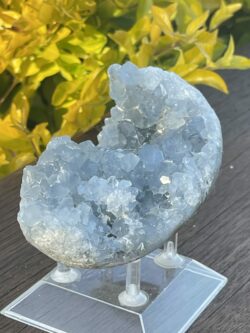 this is Serene Celestite Cluster - 656g