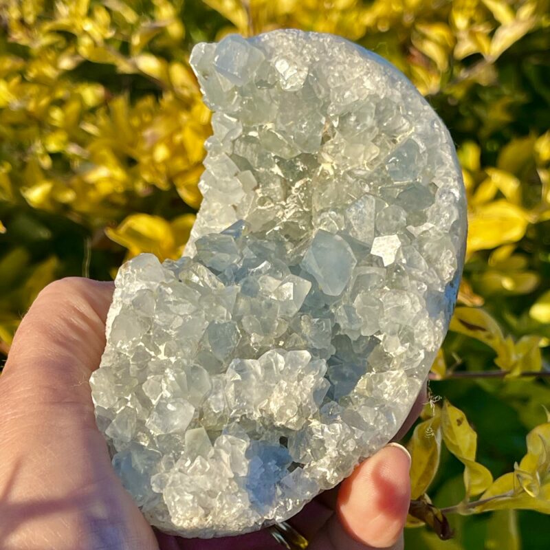 this is Serene Celestite Cluster - 656g